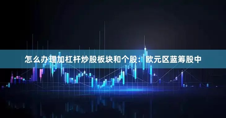 怎么办理加杠杆炒股板块和个股：欧元区蓝筹股中